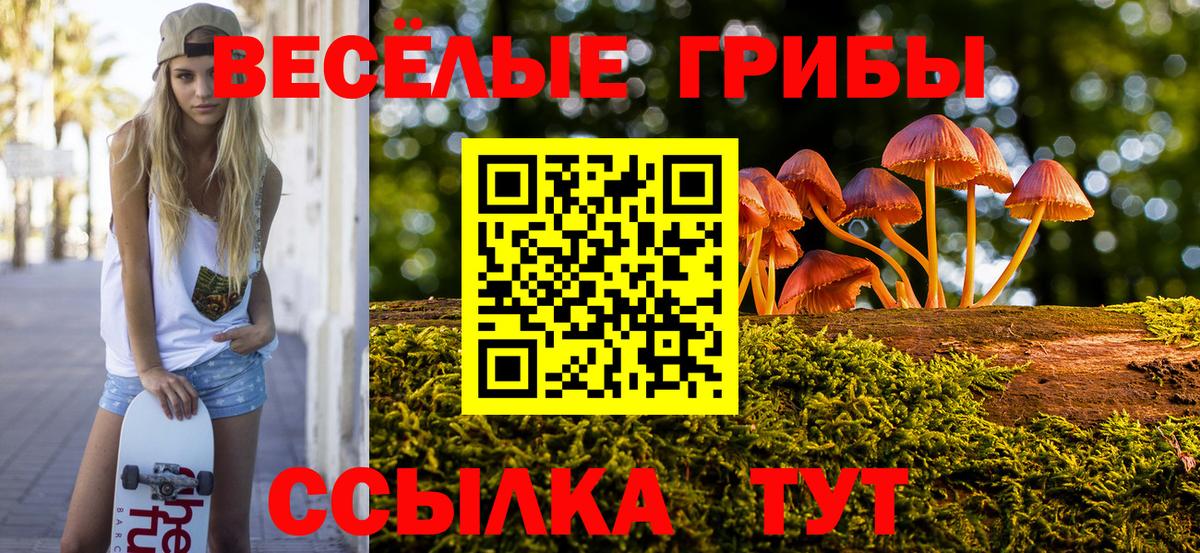 Псилоцибиновые грибы Magic Shrooms Сергиев Посад